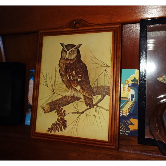 Vintage E Rambow Great Horned Owl Art on Wood Wall Hanging bird of prey plaque - Picture 6 of 10